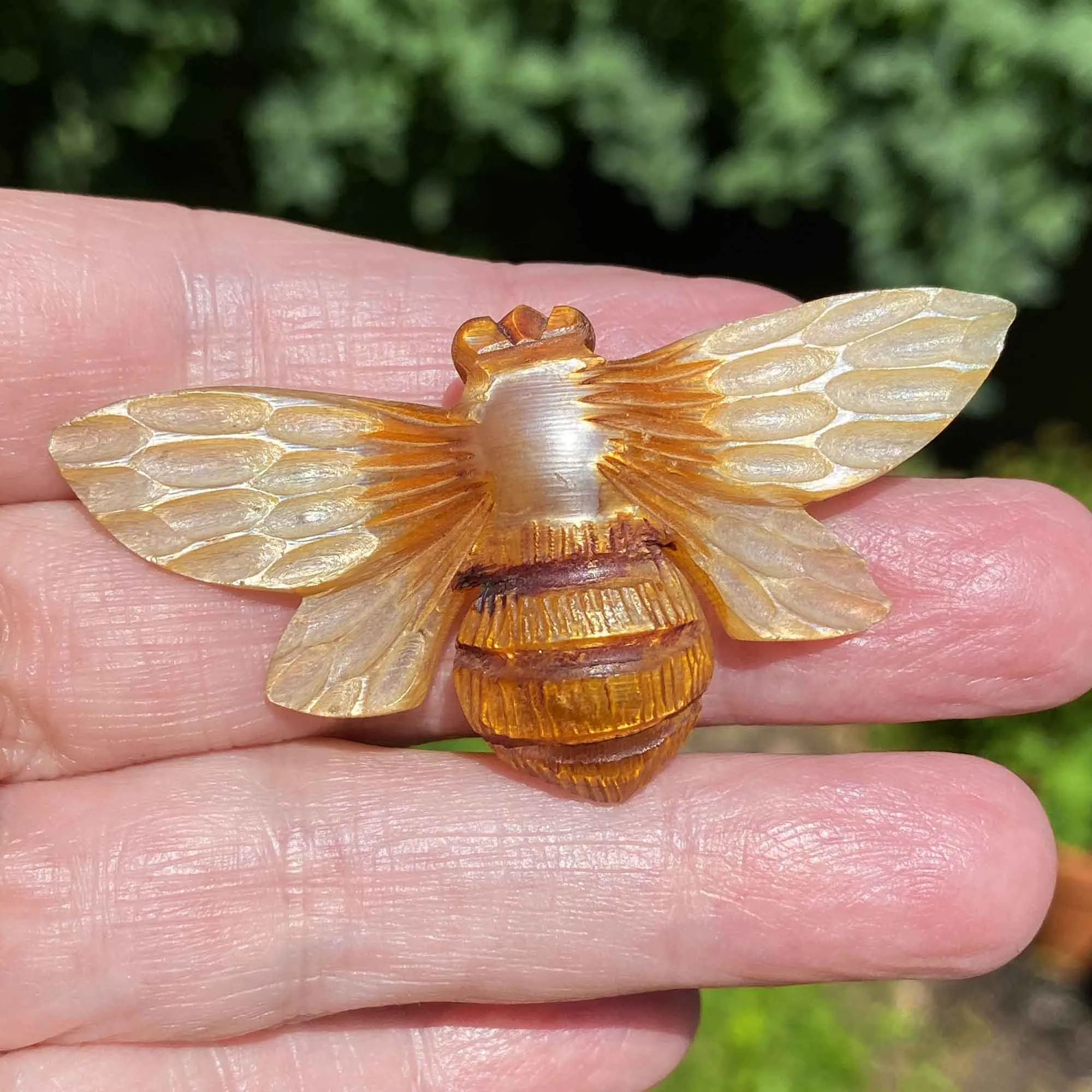 French Art Nouveau Carved Horn Moth Brooch