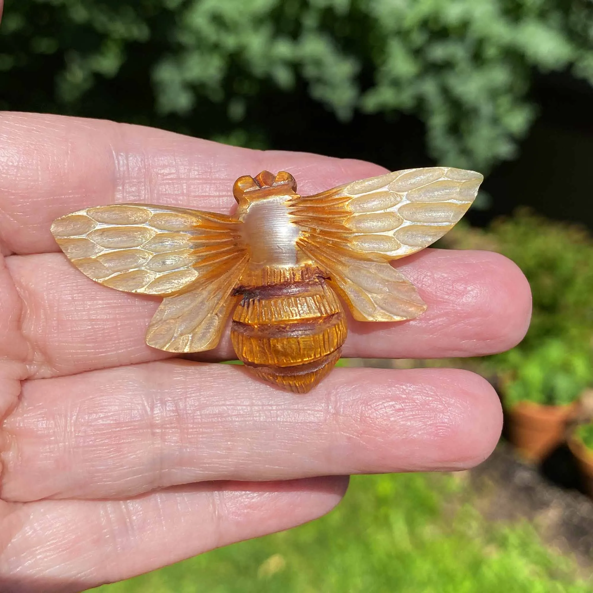 French Art Nouveau Carved Horn Moth Brooch