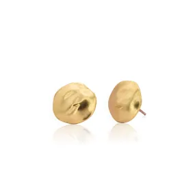 Mini shell stud Earrings