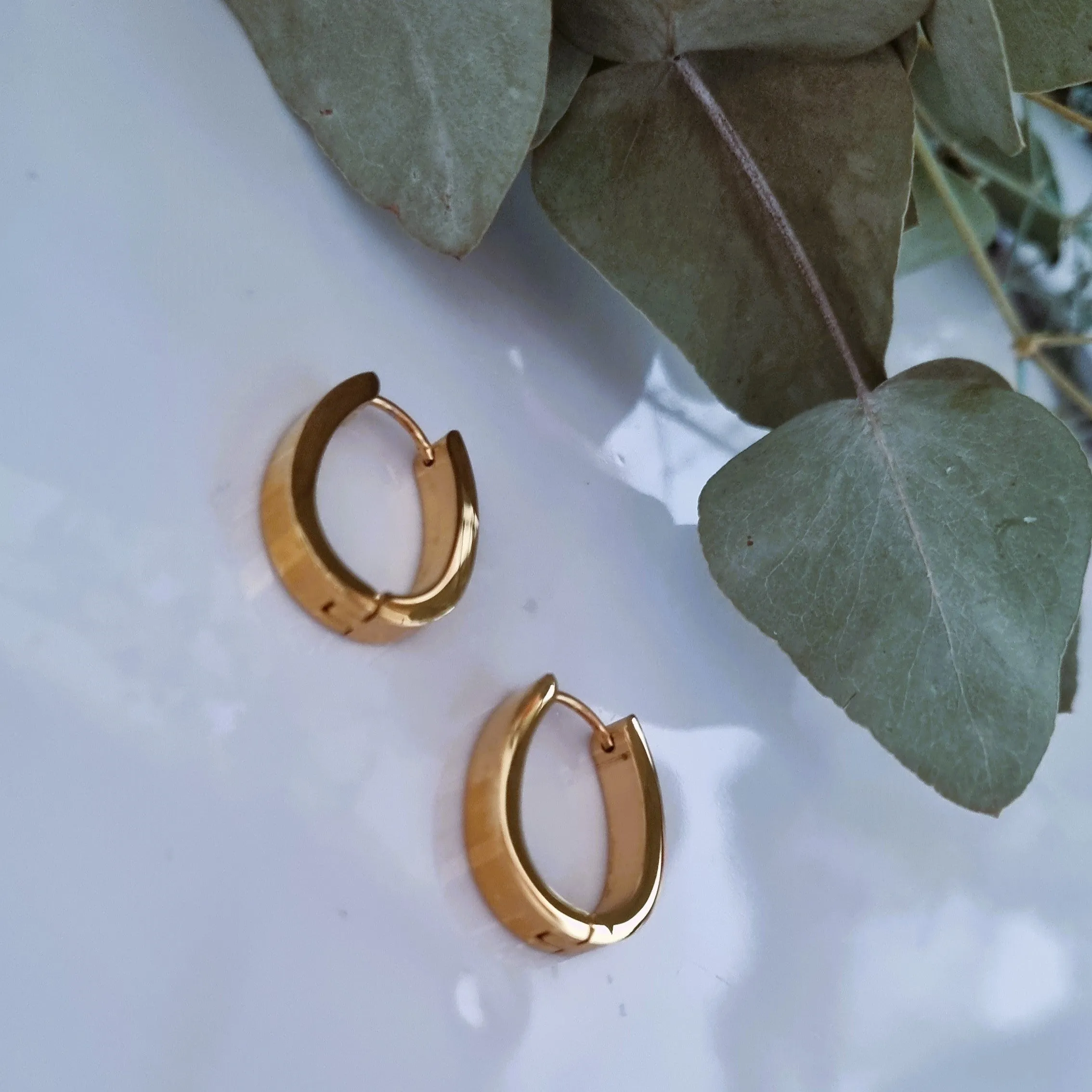 Oval earrings