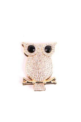 Owl  magnetic brooch