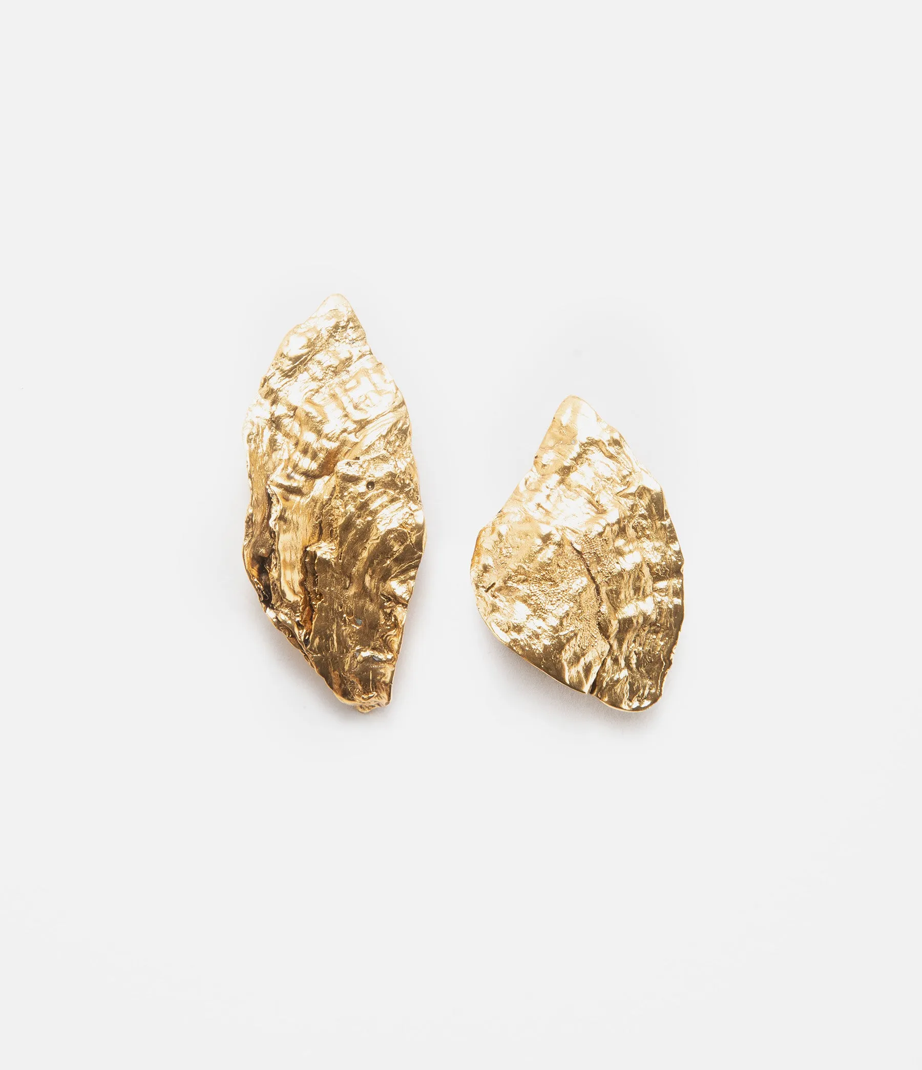 Shell Earrings